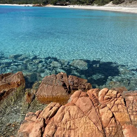 Palombaggia Location I Pini Vecchio Kemping Porto-Vecchio (Corsica)