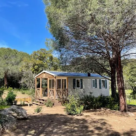 Palombaggia Location I Pini Vecchio * Porto-Vecchio (Corsica)