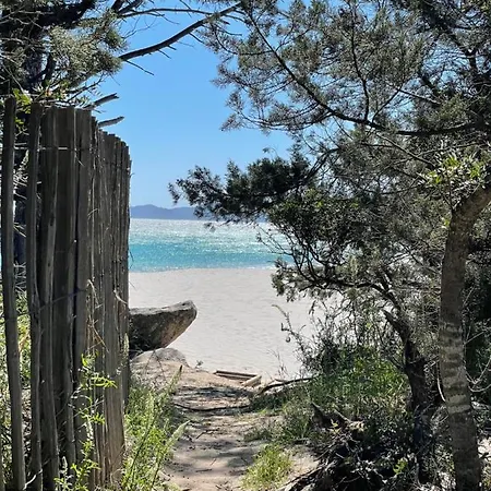 Palombaggia Location I Pini Vecchio *