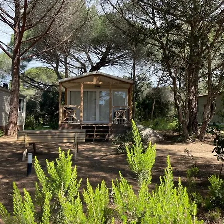 Palombaggia Location I Pini Vecchio Kemping Porto-Vecchio (Corsica)