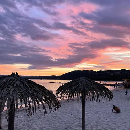 Palombaggia Location I Pini Vecchio Porto-Vecchio (Corsica)