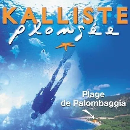 Kemping Palombaggia Location I Pini Vecchio *