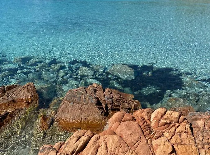 Palombaggia Location I Pini Vecchio Kamp alanı Porto-Vecchio (Corsica)