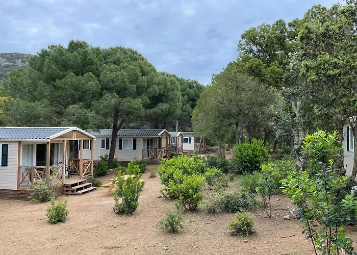 Palombaggia Location I Pini Vecchio