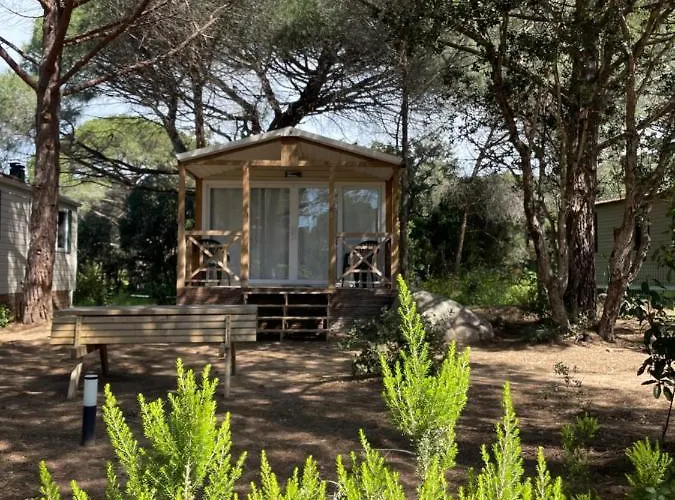 Palombaggia Location I Pini Vecchio Campingplatz Porto-Vecchio (Corsica)