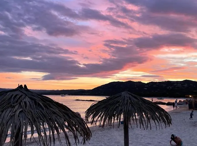 Palombaggia Location I Pini Vecchio Porto-Vecchio (Corsica)